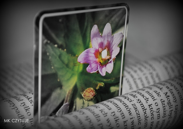 mantra-balsam-dla-duszy-i-ciala